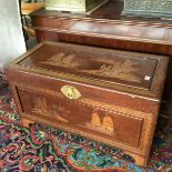 Carved Chinese Canferwood Chest