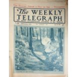 A COLLECTION OF APPROX ONE HUNDRED EARLY 20TH CENTURY NEWSPAPERS 'The Weekly Telegraph', dated
