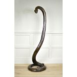A LARGE, RARE AND IMPRESSIVE EARLY 20TH CENTURY FULL SIZE PYTHON Mounted with glass eyes and in a