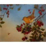FLORENCE VERNON, 1881 - 1904, OIL ON CANVAS Robin perched in a tree, framed. (40cm x 37cm)