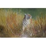 A 20TH CENTURY OIL ON CANVAS Portrait of a tiger in long reeds, signed lower left 'M. Jermyn' and