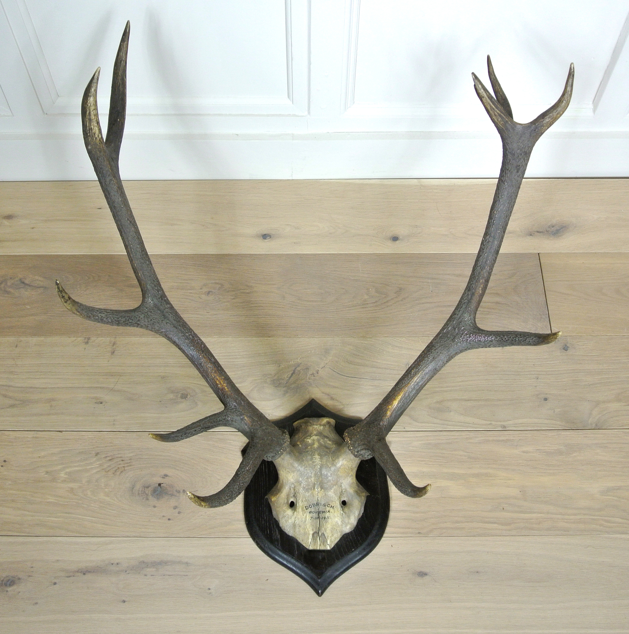 ROWLAND WARD, A PAIR OF EARLY 20TH CENTURY RED DEER ANTLERS Bearing inscription 'Dobrisch,Bohemia