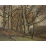 A 20TH CENTURY WATERCOLOUR Autumnal landscape, with trees, mounted, framed and glazed. (w 55cm x h