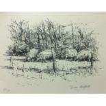 DIANA ARMFIELD, B. 1920, A LIMITED EDITION (137/150) LITHOGRAPH Grazing sheep amongst trees,