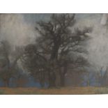 SIR GEORGE CLAUSEN, R.A., 1852 - 1944, PASTEL Titled 'Trees in Richmond Park, 1919', mounted, framed