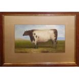 OIL ON BOARD, NAIVE STYLE STUDY OF A BULL Profile view in standing pose, framed and glazed. (
