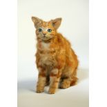 A 20TH CENTURY TAXIDERMY KITTEN. (h 24cm x w 12.5cm x d 24cm)