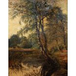 A LARGE EARLY 20TH CENTURY IMPRESSIONIST OIL ON CANVAS Landscape, a silver birch by a woodland pool,