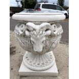 RAMS HEAD DECORATIVE PLANTER / URNS ON PLINTHS