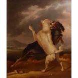 A 19TH CENTURY OIL ON PANEL Fighting dogs, framed. (w 40cm x h 46cm)