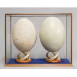 A GENUINE COMPOSITE ELEPHANT BIRD EGG, CASED ALONGSIDE A REPLICA. (h 45cm x w 59cm x d 29cm)