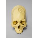 A 20TH CENTURY IMITATION PERUVIAN SKULL WITH CRANIAL BINDING AND TREPHINATION BY BONE CLONES. (h