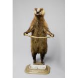 A LATE 19TH CENTURY TAXIDERMY BADGER STICK STAND. (h 87cm x w 38cm x d 48cm)