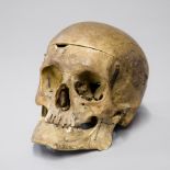 A LATE 19TH CENTURY ANATOMICAL SCIENCE HUMAN SKULL. (h 15.5cm x w 21.5cm x d 14cm)