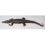 A LATE 19TH CENTURY TAXIDERMY CROCODILE. (l 166cm)