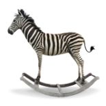 A 21ST CENTURY TAXIDERMY FULL MOUNT JUVENILE ROCKING BURCHELL'S ZEBRA Mounted on a 19th Century