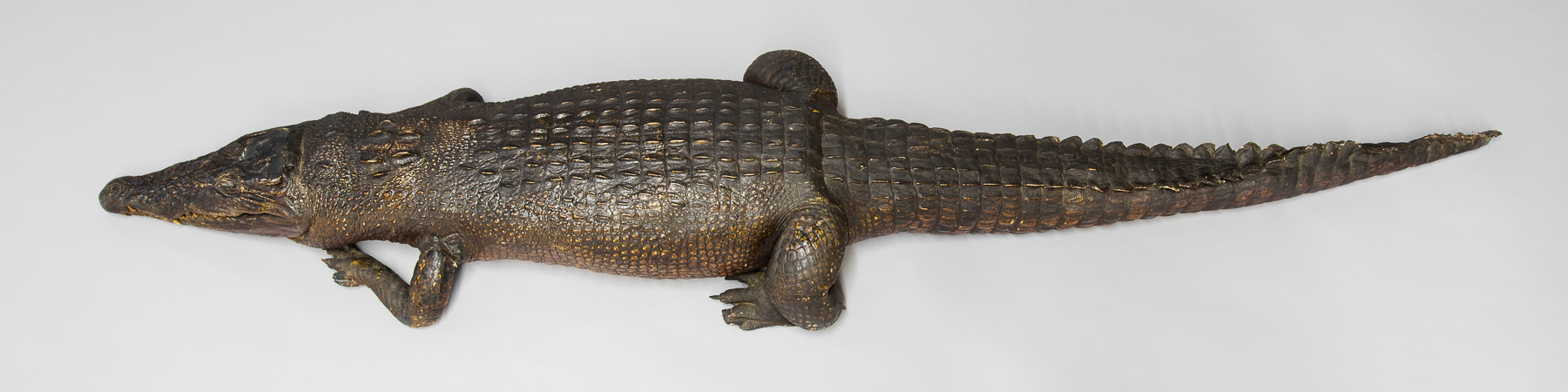 A MID/LATE 19TH CENTURY TAXIDERMY CROCODILE. (l 190cm)