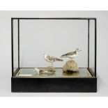 AN EARLY 20TH CENTURY TAXIDERMY MUSEUM DIORAMA OF GREY PHALAROPE. (h 53cm x w 60cm x d 34cm)