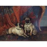 HENRY FREDERICK LUCAS LUCAS, 1849 - 1943, OIL ON CANVAS Study of two brindle pugs reclining on a