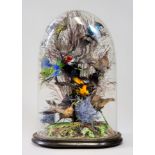 A LATE 19TH CENTURY TAXIDERMY DISPLAY OF EXOTIC BIRDS MOUNTED IN A NATURALIST SETTING UNDER GLASS