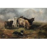 HIGHLAND CATTLE WITH SHEEP DOG, OIL ON CANVAS Initialled 'A.N.', gilt framed. (89cm x 67cm)