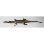 A LATE 19TH CENTURY TAXIDERMY GHARIAL. (l 129cm)