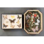 TWO FRAMED AND GLAZED CASED SET OF BUTTERFLIES AND MOTHS. (largest 32cm x 43cm)