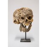 A 20TH CENTURY JOHN MERRICK 'ELEPHANT MAN' IMITATION SKULL. (h 33cm x w 21cm x d 24cm)