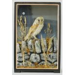 AN EARLY 20TH CENTURY TAXIDERMY BARN OWL IN A GLAZED CASE WITH A NATURALISTIC SETTING. (h 67cm x w