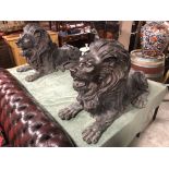 PAIR OF LARGE BRONZE CAST LIONS RECUMBENT GOOD CONDITION H X 70CM D X 117CM W X 53CM