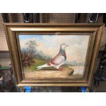 A GILT FRAMED OIL PAINTING OF A RACING PIGEON IN A LANDSCAPE