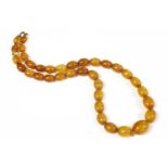 A single row graduated olive shaped amber bead necklace17.56g