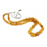 A single row graduated olive shaped amber bead necklace, (requires re-stringing)31.49g