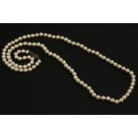 A single row uniform cultured pearl necklace, string knotted to a 9ct gold clasp, size of pearl 6-