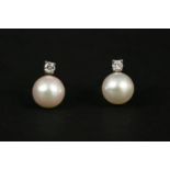A pair of white gold diamond and cultured pearl stud earrings, single cultured pearl peg set to a