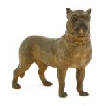 An Austrian terracotta standing figure of a pug, 19th century, with glass eyes, 22cm long