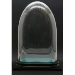 A large glass dome on ebonised base, 59cm high