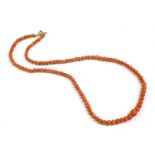 A single row graduated coral bead necklace, with bolt ring clasp12.67g