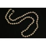 A single row uniform semi Baroque cultured pearl necklace, with clasp set with a pearl marked 835