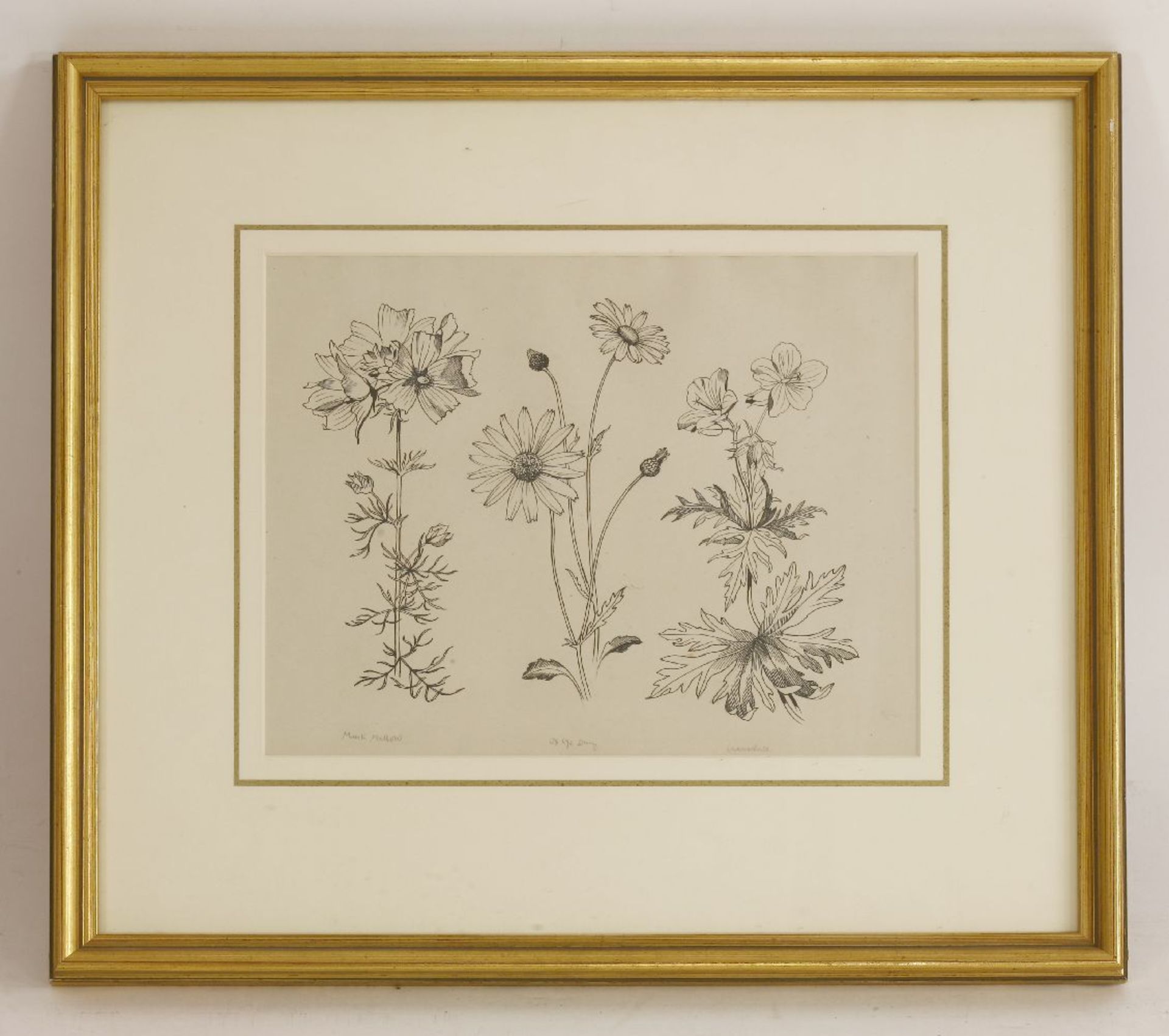 *John Northcote Nash RA (1893-1977)'MUSK MALLOW, OX-EYE DAISY, CRANE'S-BILL', c.1930Inscribed in - Image 2 of 3