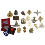 Twenty military cap badges, five cloth