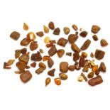 A collection of amber pieces, to include examples with insects, butterscotch, coloured examples,