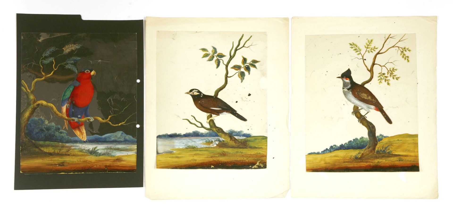 Seven Indian paintings on mica,c.1840, butterflies,14 x 9.5cm,an oval picture of a flower,12 x 10cm,