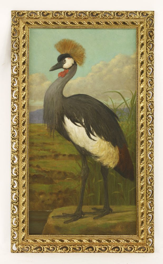 Henry Stacy Marks RA (1829-1898)A MARABOU STORK;A STORK;A pair, both signed l.r., oil on canvas138 x - Image 14 of 15