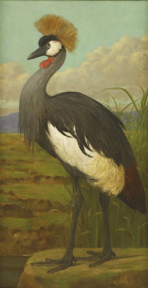 Henry Stacy Marks RA (1829-1898)A MARABOU STORK;A STORK;A pair, both signed l.r., oil on canvas138 x - Image 9 of 15