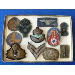 An interesting selection of mid-20th century cap and shoulder Military Cloth Badges etc.