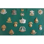 Fourteen infantry of the line cap badges and two back-badges mounted on a display board: the