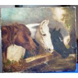 An unframed Oil on Canvas study of three horses' heads, black, white and a bay, damage to canvas,