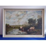 A late 19th/early 20th Century framed oil on canvas study of cows watering in a pasture with