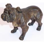 In the style of Franz Bergman, late 19th/early 20th century cold-painted bronze model of a bulldog,